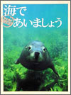 海であいましょう